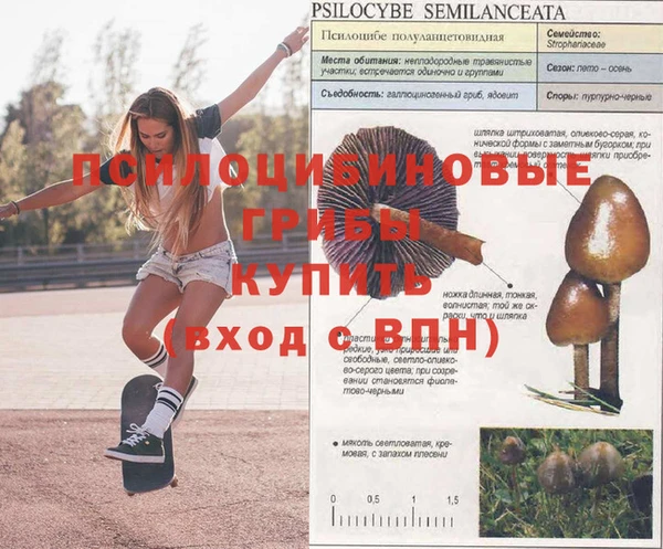 мяу мяу мука Нефтегорск