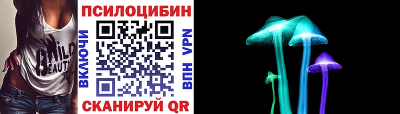 Псилоцибиновые грибы Psilocybine cubensis купить Поворино